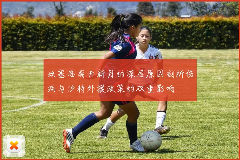 坎塞洛离开新月的深层原因剖析伤病与沙特外援政策的双重影响